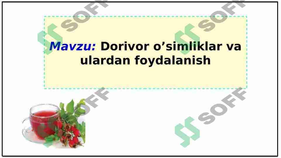 Dorivor o’simliklar va ulardan foydalanish 1
