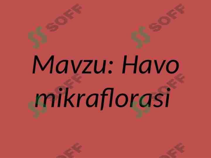 Havo mikraflorasi 1
