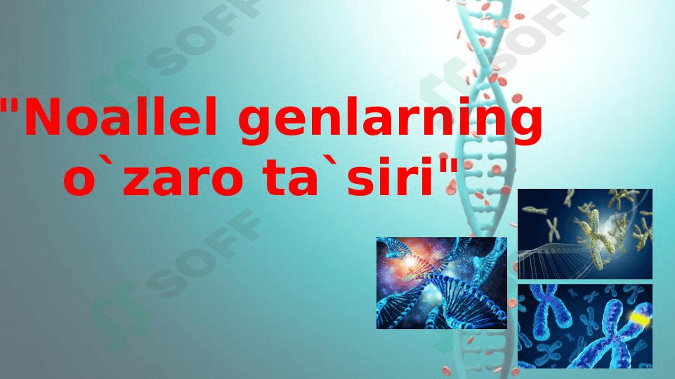 Noallel genlarning o`zaro ta`siri 1