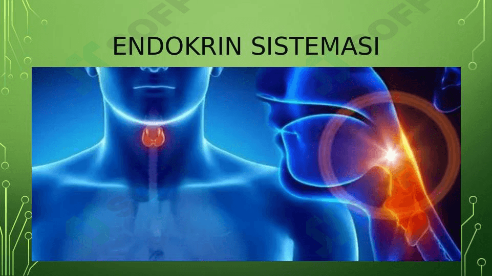 Endokrin fiziologiyasi 1