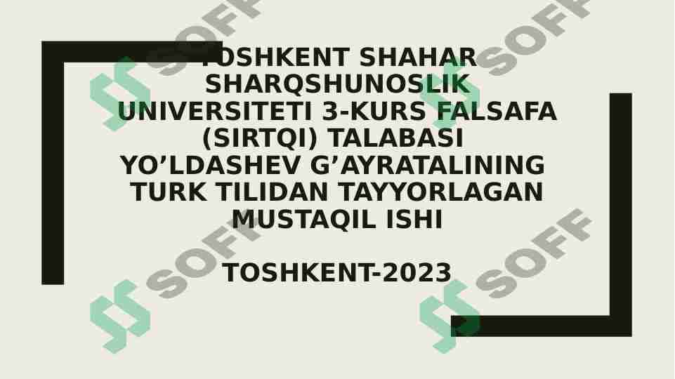 Turk oshxonasi 1