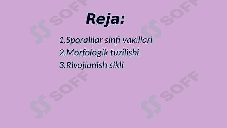 Sporalilar sinfi 2