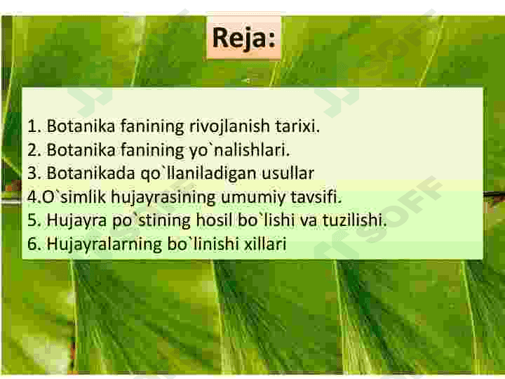 Oʻsimlik hujayrasining tuzilishi va rivojlanish bosqichlari 2