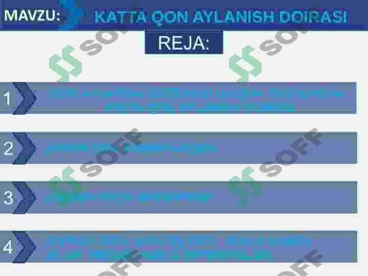 KATTA QON AYLANISH DOIRASI 2