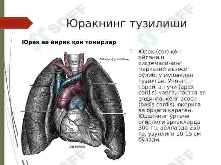 YURAKNI TEKSHIRISH USULLARI 2