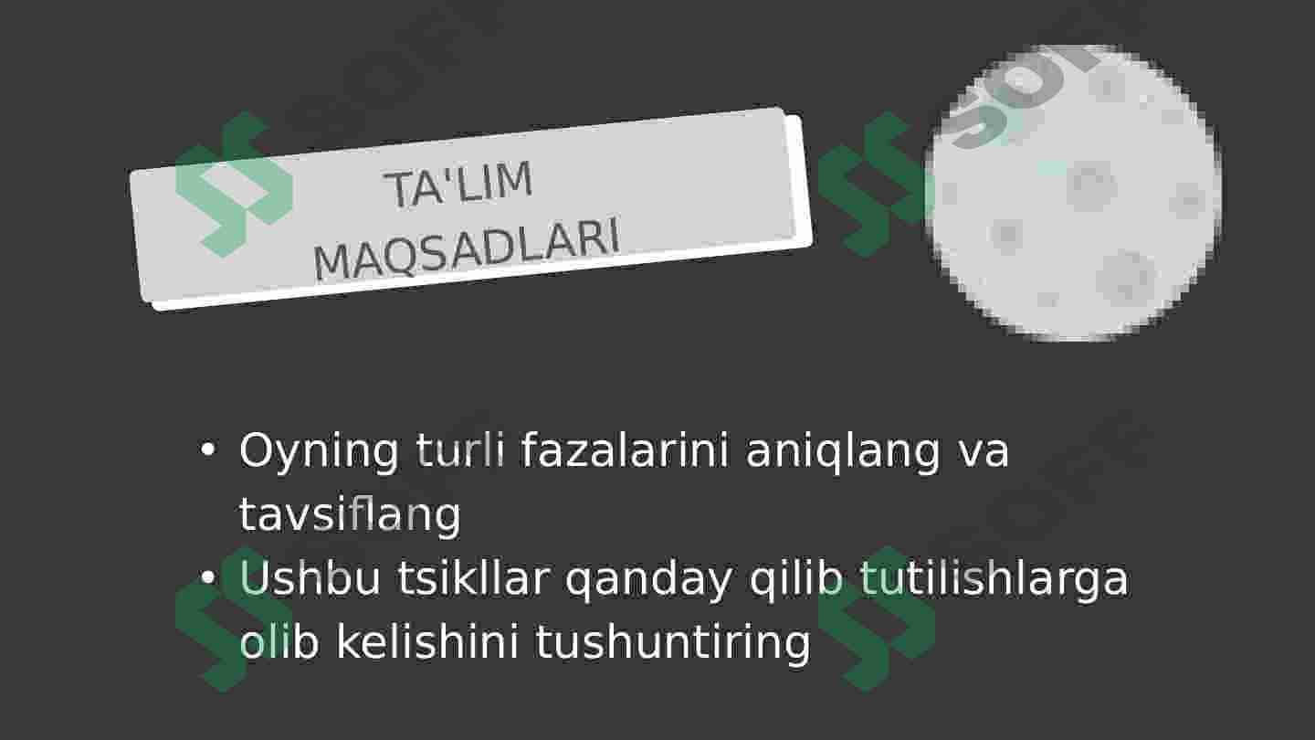 OY FAZALARI 2