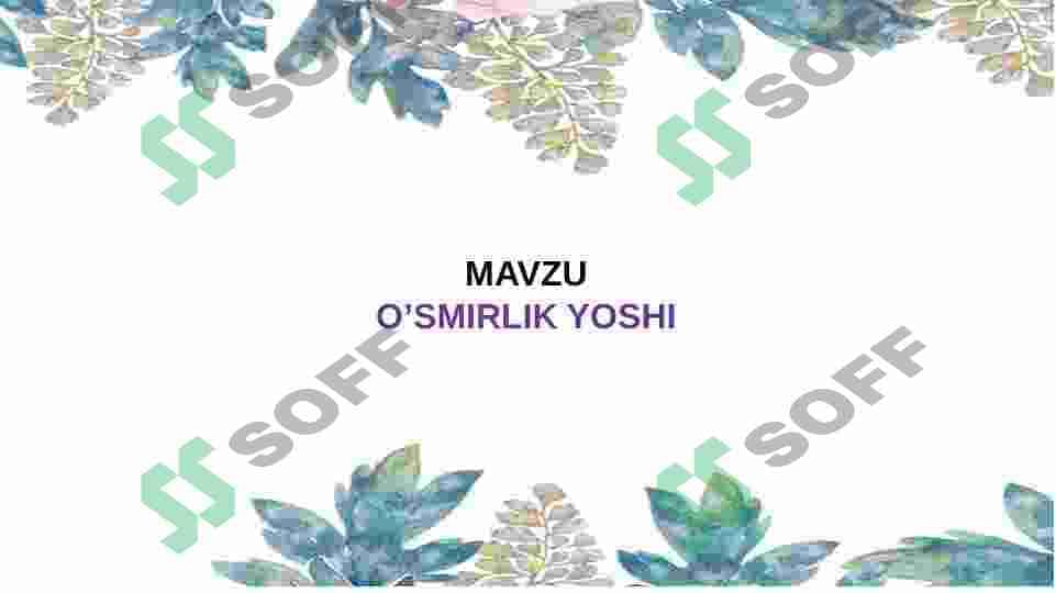 O’SMIRLIK YOSHI 2