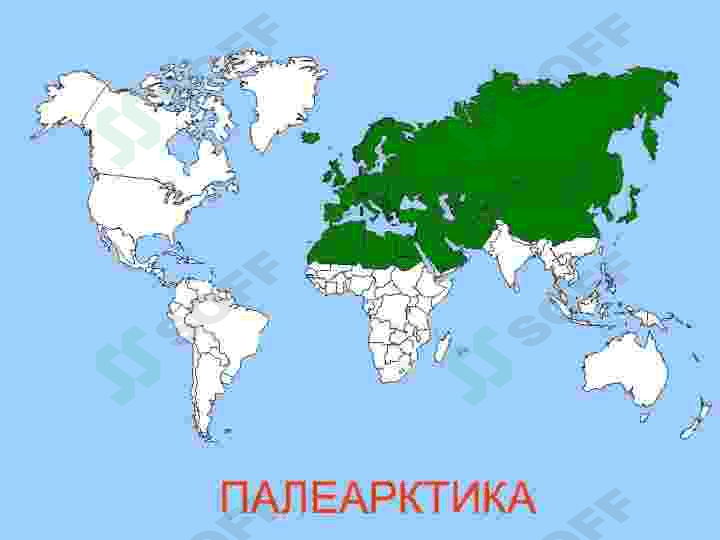 Palearktika zoogeografik viloyatdagi turli mintaqalar faunasi 2