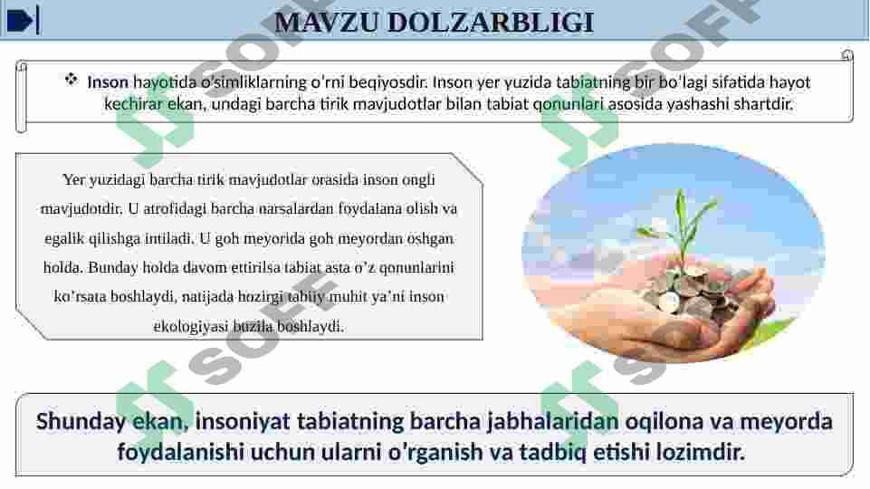 TROPIK MINTAQALARDA TARQALGAN OZIQ OVQAT O’SIMLIKLARI 3