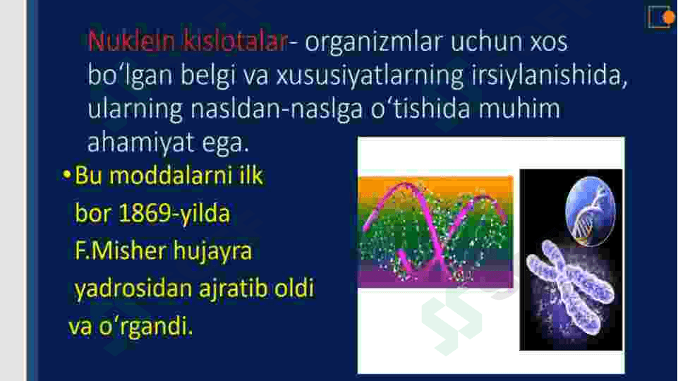 Nuklein kislotalar 3