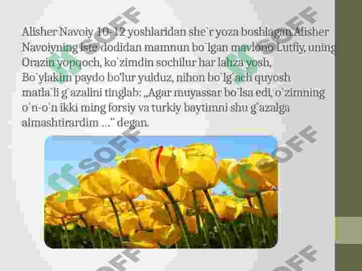 Alisher Navoiy-g’azal mulkining sultoni 4