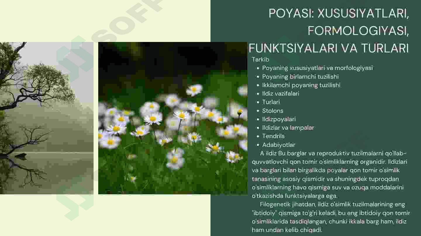Poya va uning vazifalari 4