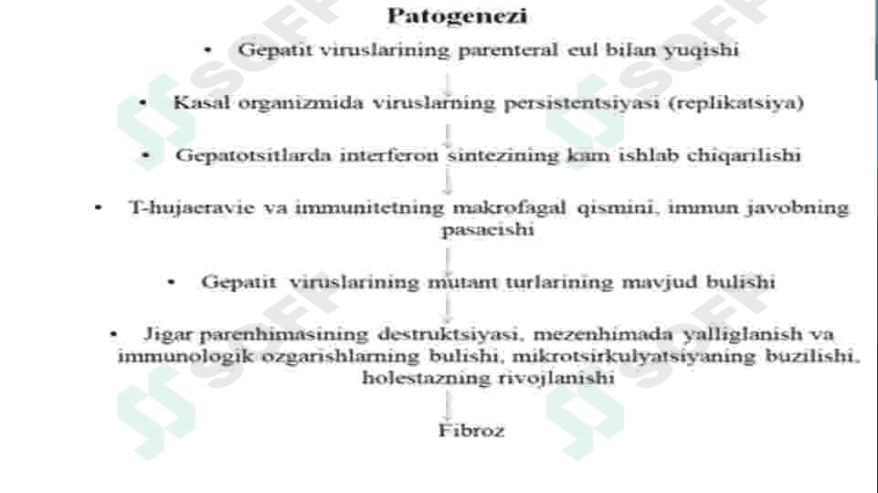 Bolalarda gepatit kasalligi 5