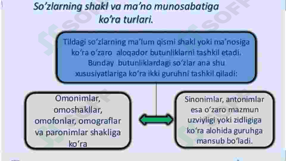 Oʻzbek tilining leksik qatlamlari. 5