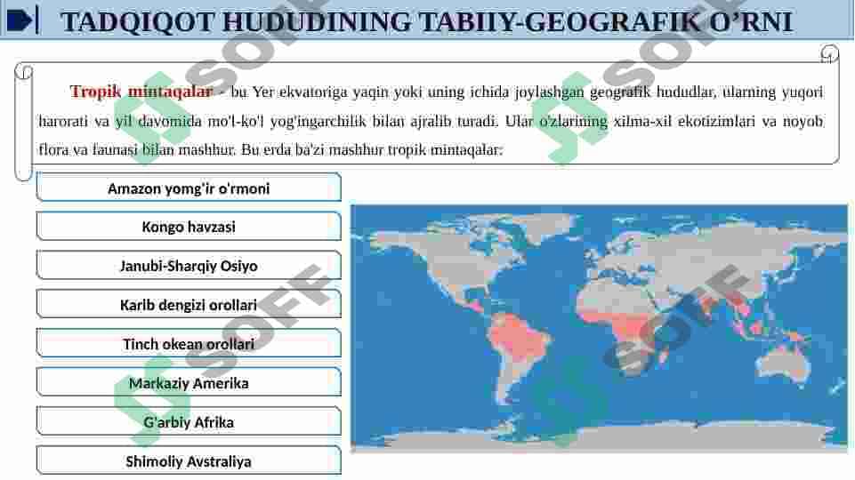 TROPIK MINTAQALARDA TARQALGAN OZIQ OVQAT O’SIMLIKLARI 6