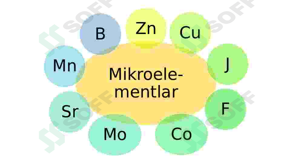 Hujayraning kimyoviy tarkibi 6