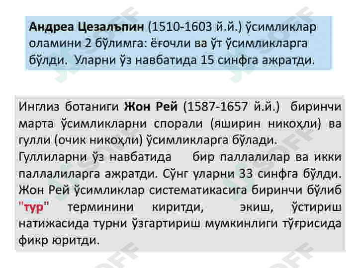Oʻsimlik hujayrasining tuzilishi va rivojlanish bosqichlari 6