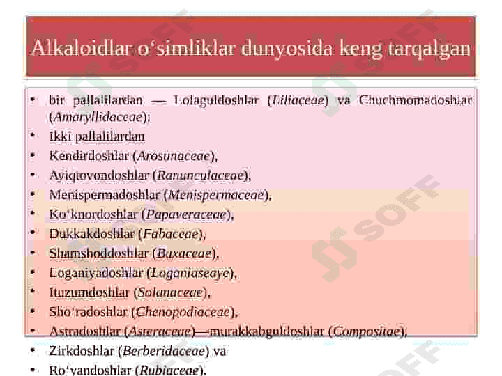Dorivor oʻsimliklar 6