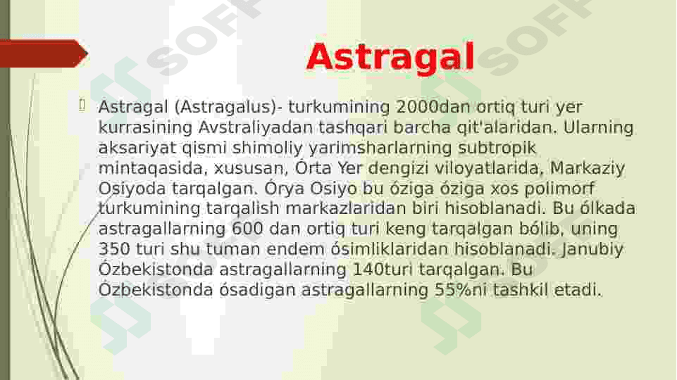 Burchoqdoshlar oilasi 6