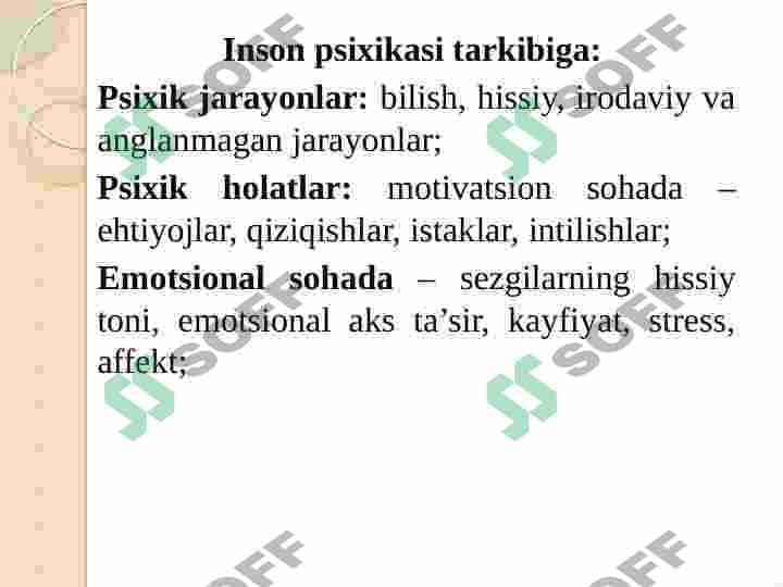 Insonda aks ettirish darajalari 6