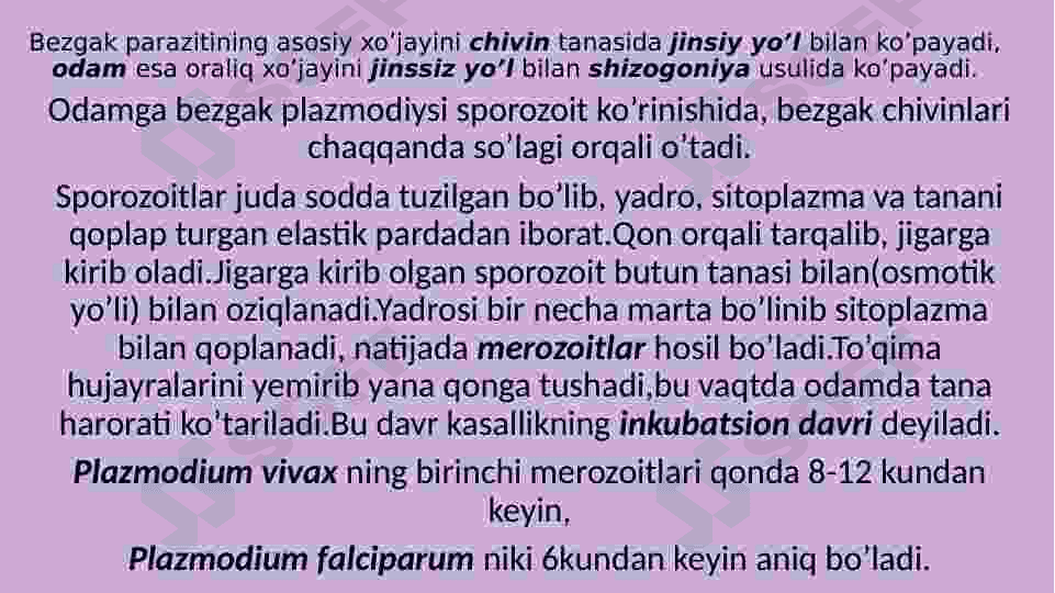 Sporalilar sinfi 7