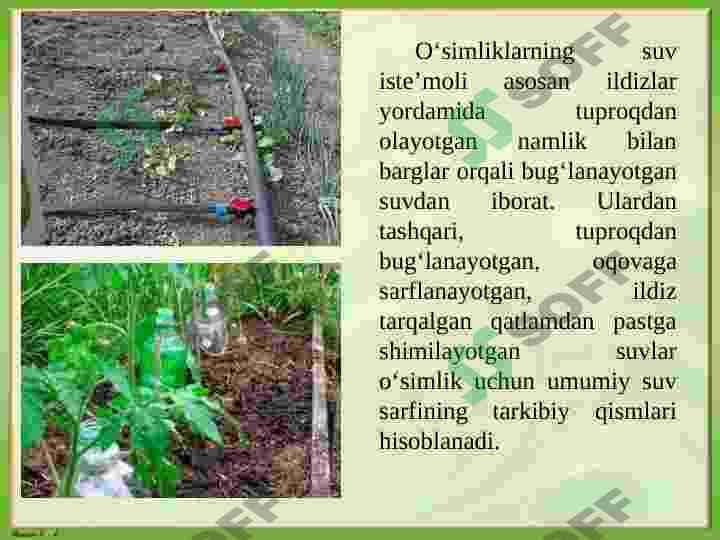 O’simliklarni sug’orish fiziologiyasi va istiqbollari 7