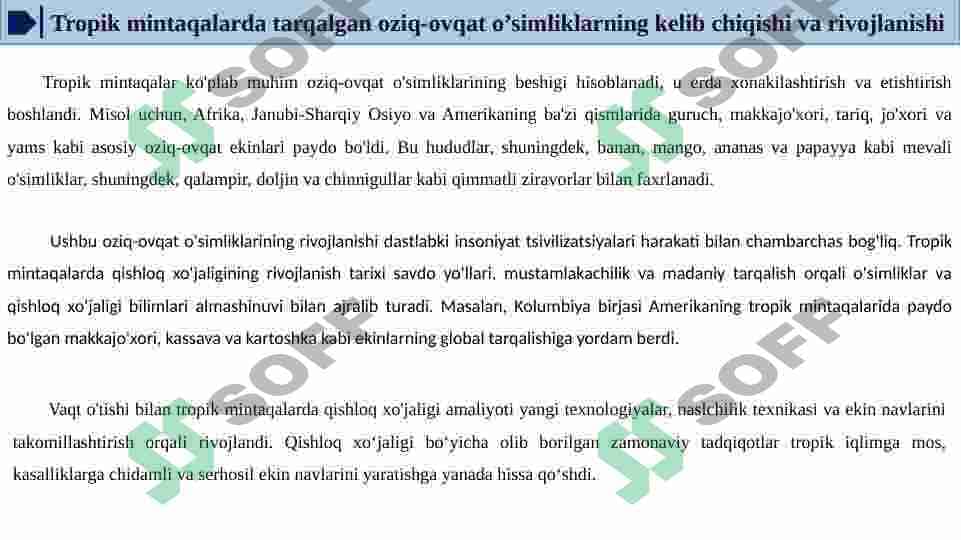 TROPIK MINTAQALARDA TARQALGAN OZIQ OVQAT O’SIMLIKLARI 8