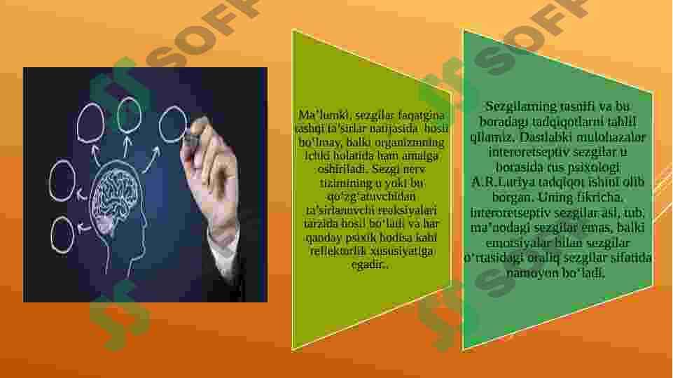 bilish jarayonlari 8