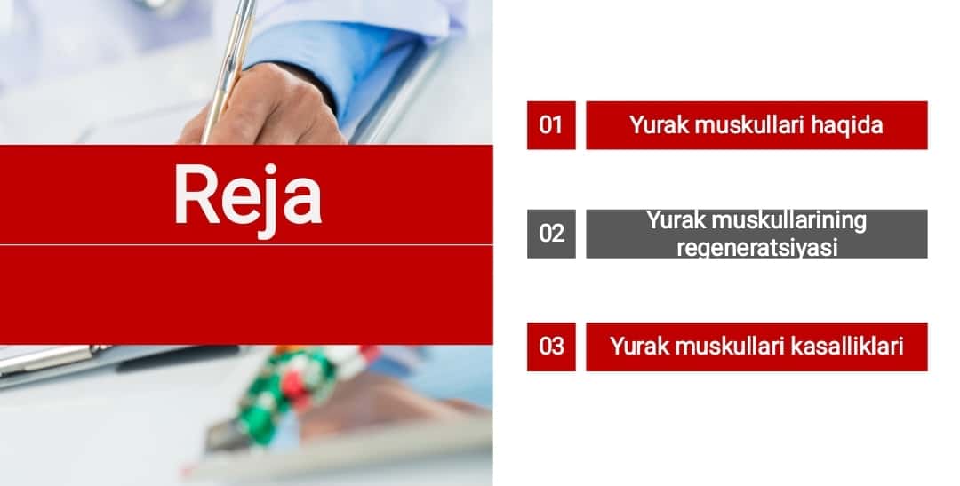 Yurak muskullari regeneratsiyasi 1