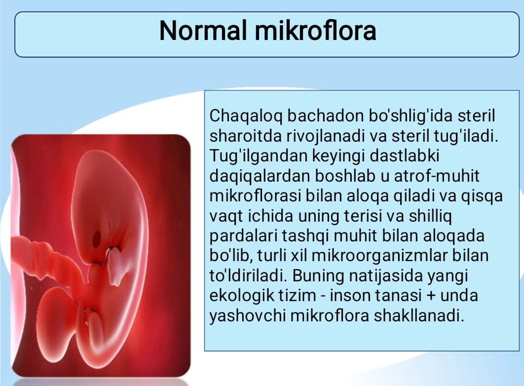 Odam organizmidagi normal mikroflora 1