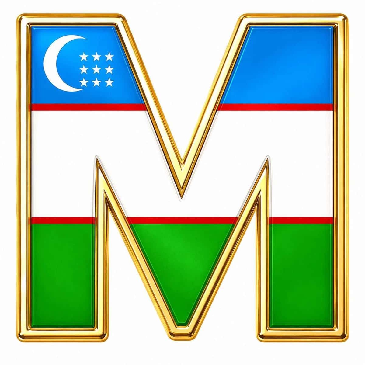 Mustaqillik darsi yozuvi 1