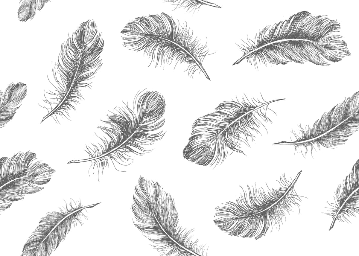 Oq fonda patlar qo'lda chizilgan eskiz uslubida | Feathers white background hand drawn sketch style 1