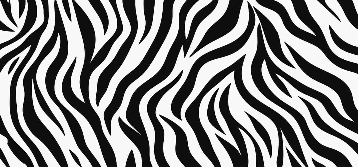 Zebra bosma choksiz naqsh fon zebra chiziqlar teri mo'yna to'qimalarining | Zebra print seamless pattern background zebra stripes skin fur texture 1