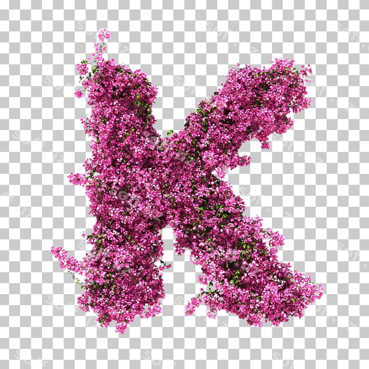 3D render bougainvillea k harfi | 3d rendering bougainvillea letter k 1