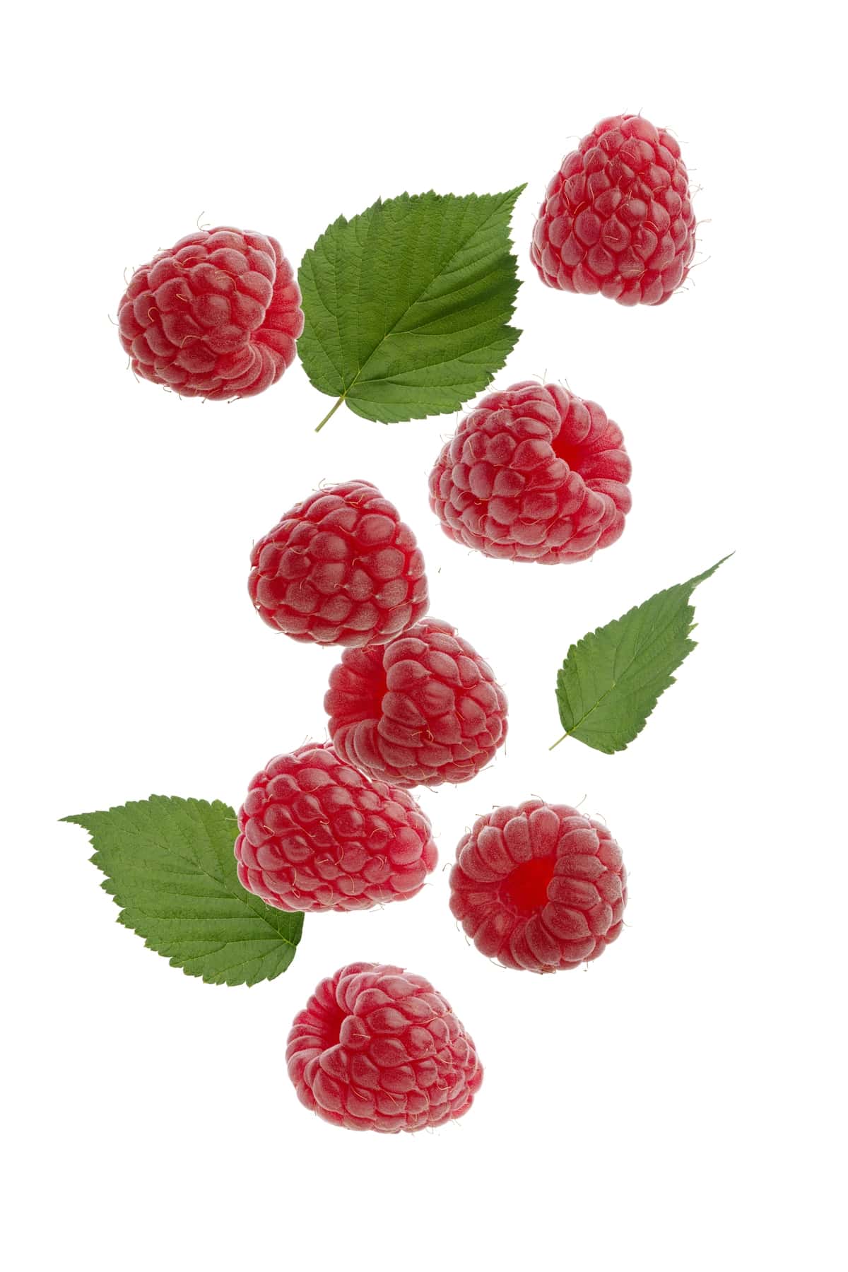 Yashil barglari oq rangli fonda malina | Raspberry with green leaves white isolated background 1