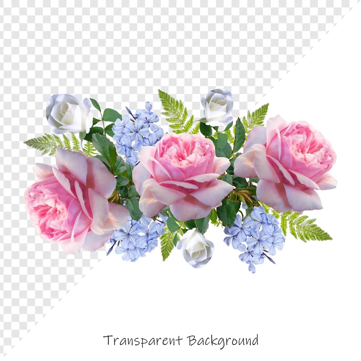 Shaffof fon bilan atirgullar gul | Roses flower with transparent background 1
