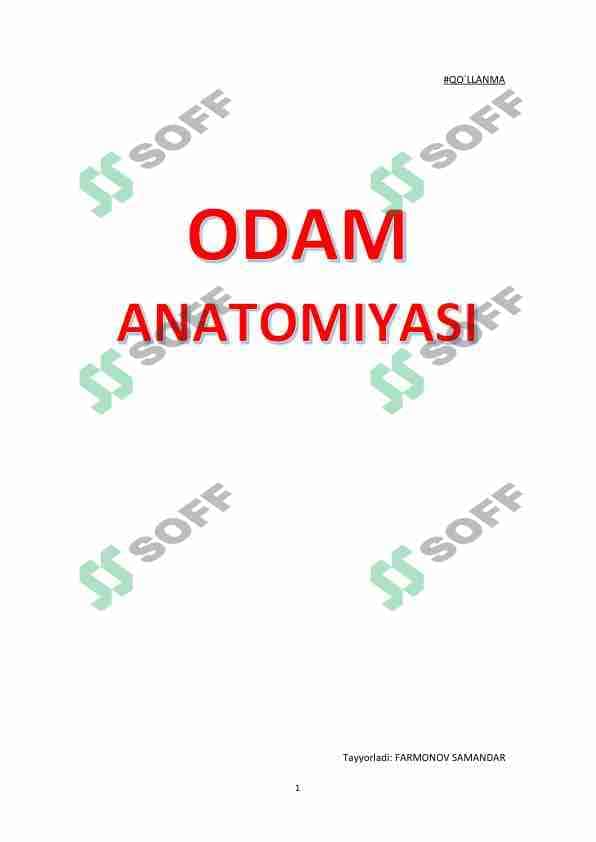 Odam anatomiyasi 1