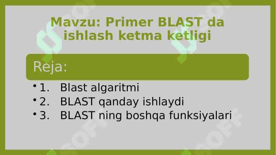 Primer BLAST da ishlash ketma ketligi