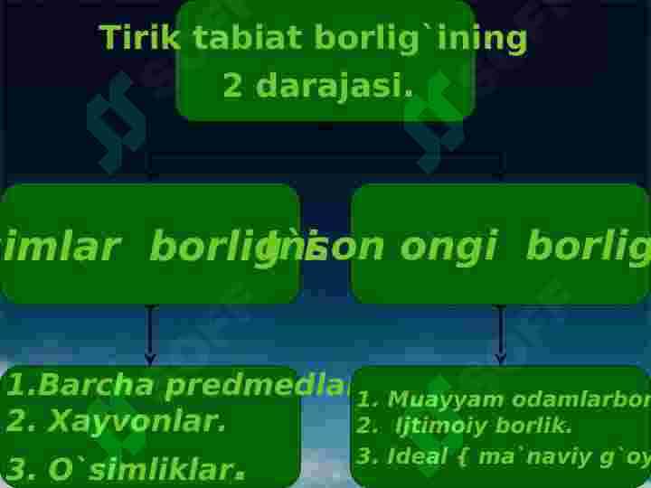 BORLIQ  FALSAFASI. 5