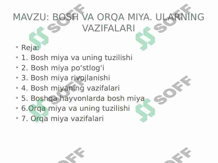 Bosh miya va orqa miya. Ularning vazifalari 1
