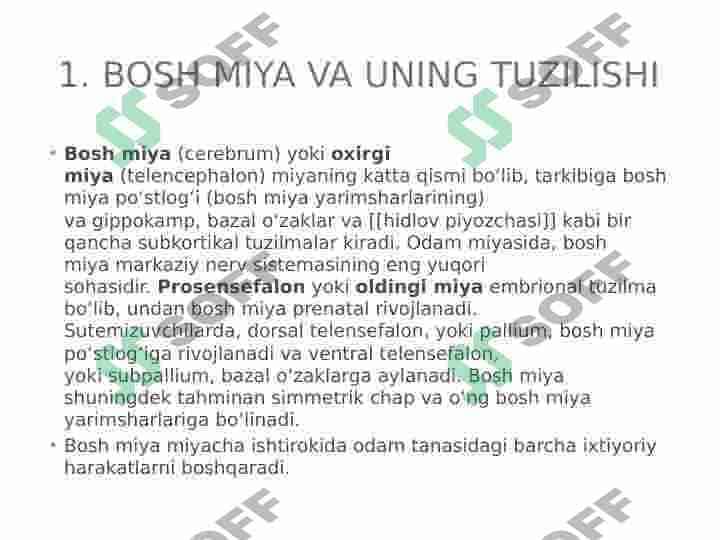 Bosh miya va orqa miya. Ularning vazifalari 2
