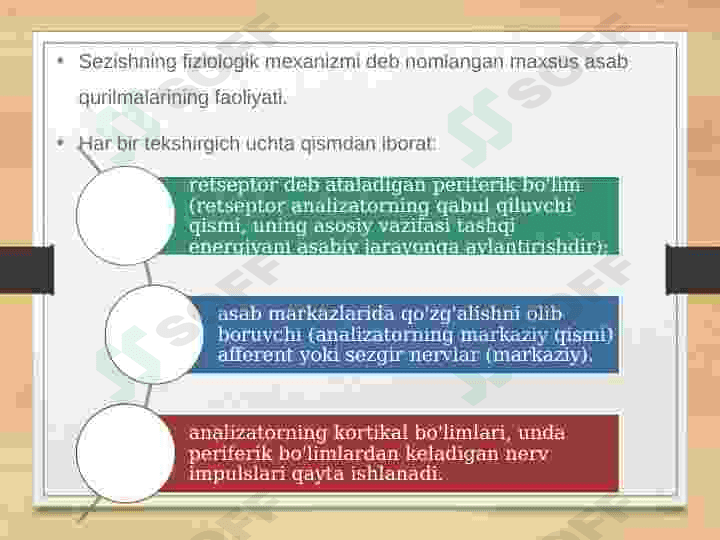 Diqqat va Sezgi. Idrok va Xayol 8