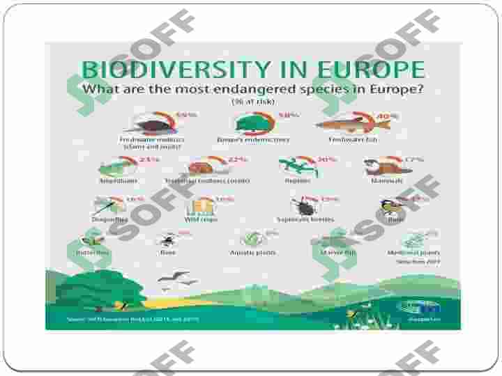 Environmental issues 4