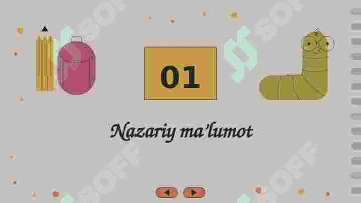 Insho turlari Esse turlari 4