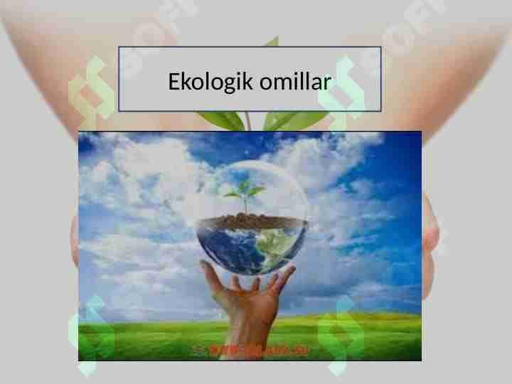 Ekologik omillar