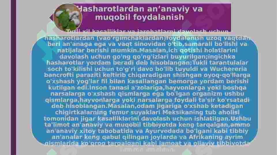 Hasharotlarning tibbiyotdagi ahamiyati 4