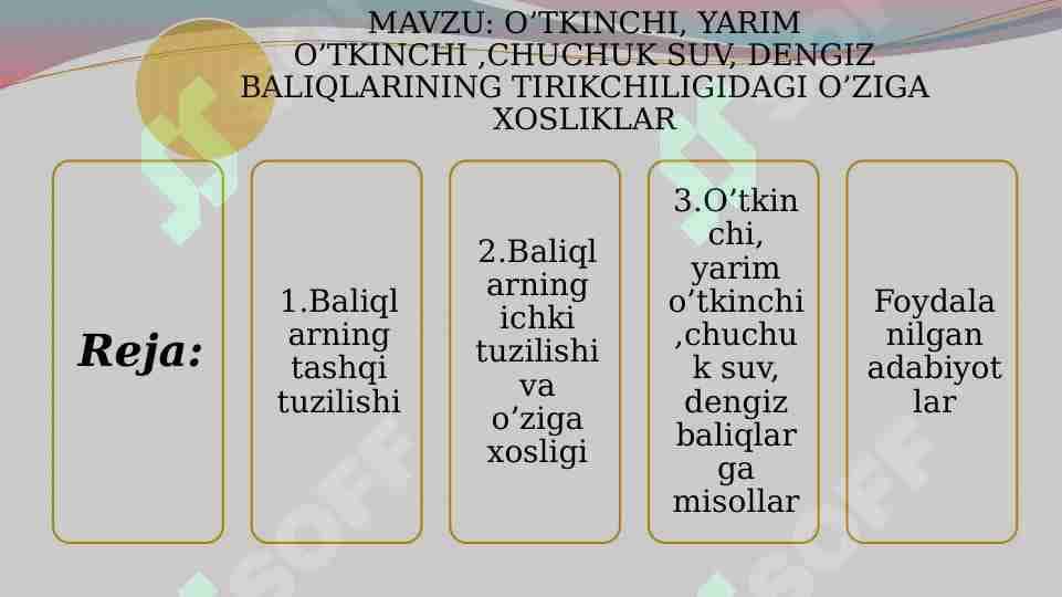 O’TKINCHI, YARIM O’TKINCHI ,CHUCHUK SUV, DENGIZ BALIQLARINING TIRIKCHILIGIDAGI O’ZIGA XOSLIKLAR