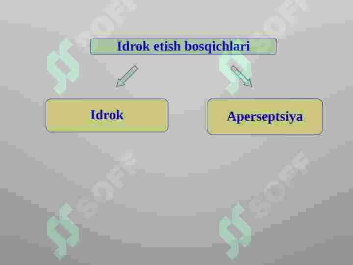 idrok 6