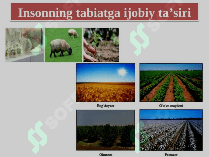 Inson va tabiat 7