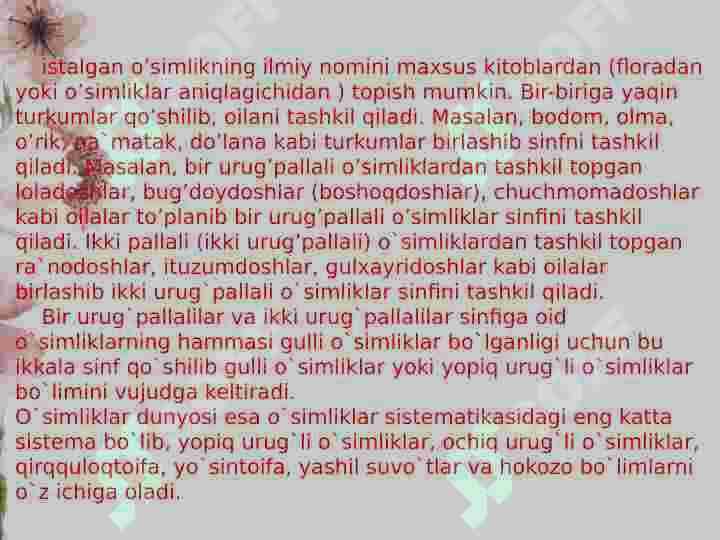 O’simliklar sistematikasi 5